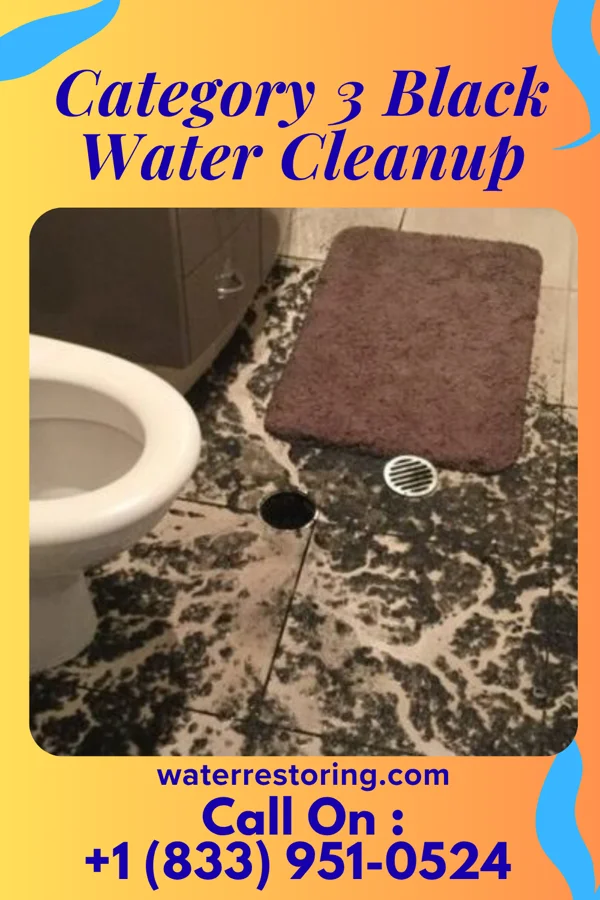 Category 3 Black Water Cleanup in St. Michael, MN
