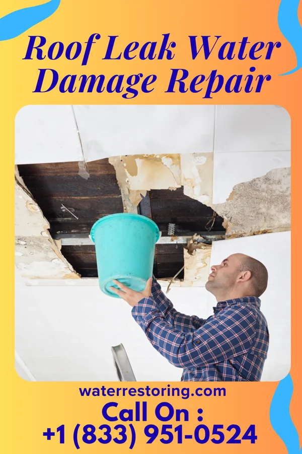Roof Leak Water Damage Repair in St. Michael, MN