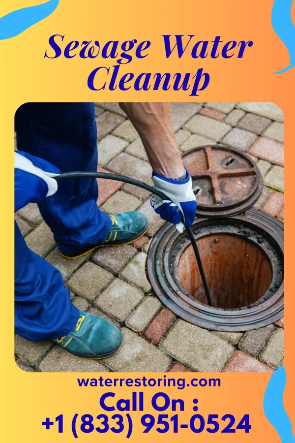 Sewage Water Cleanup in St. Michael, MN