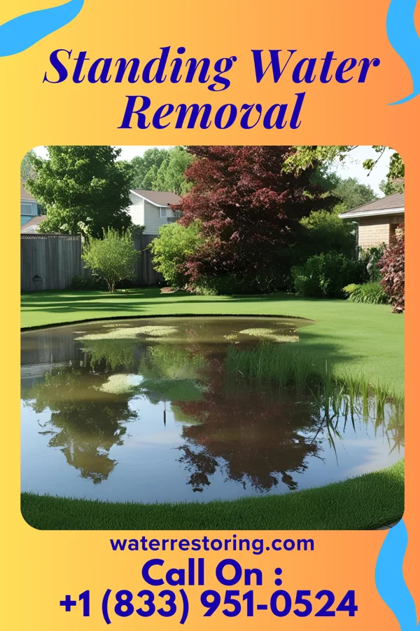 Standing Water Removal in St. Michael, MN